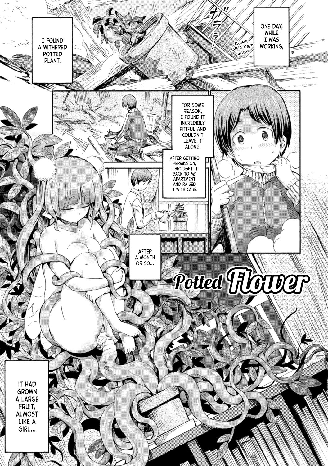 Potted Flower page 1