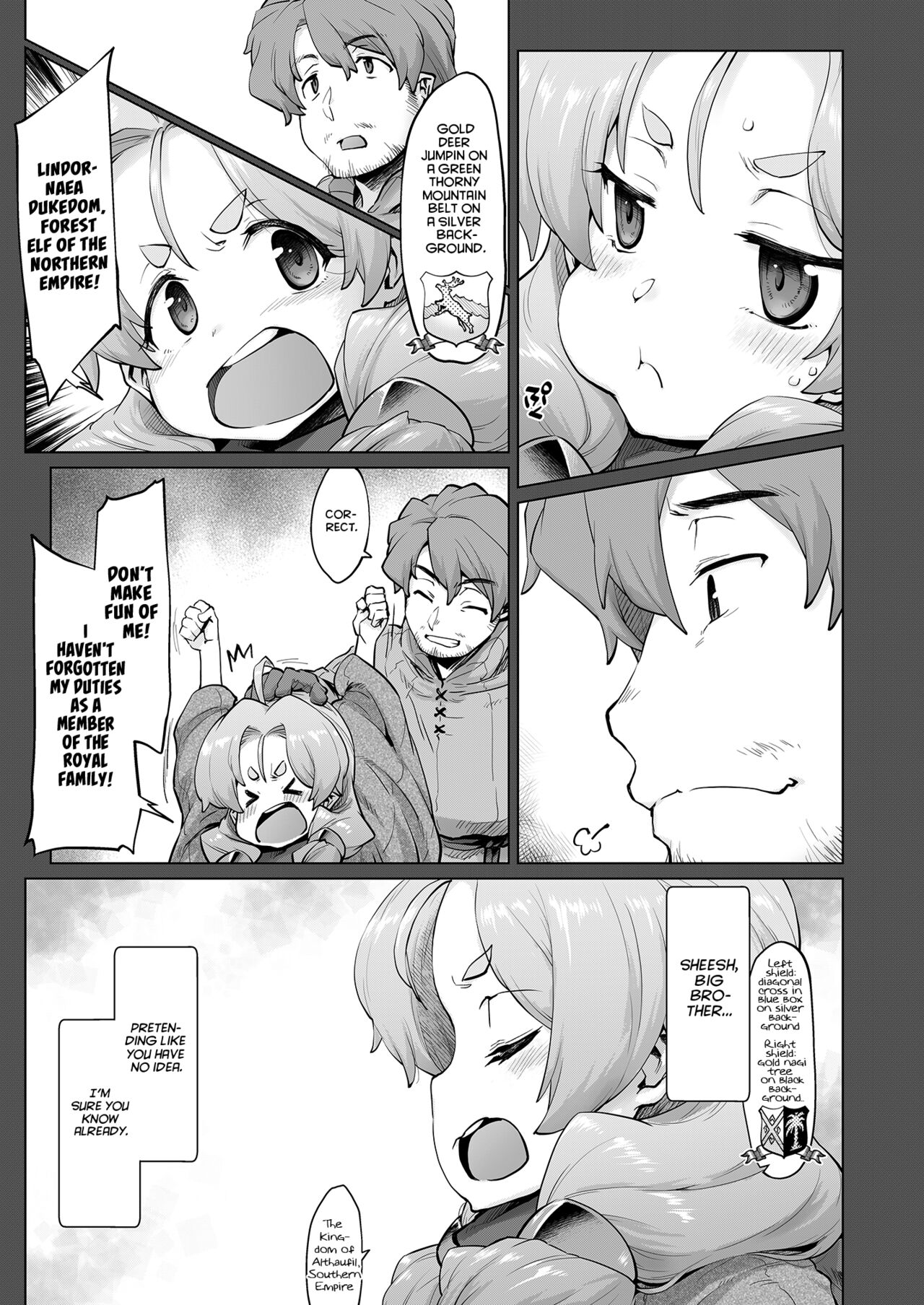 Raiders! case:re/2-A - Fallen Mountain Kingdom page 24