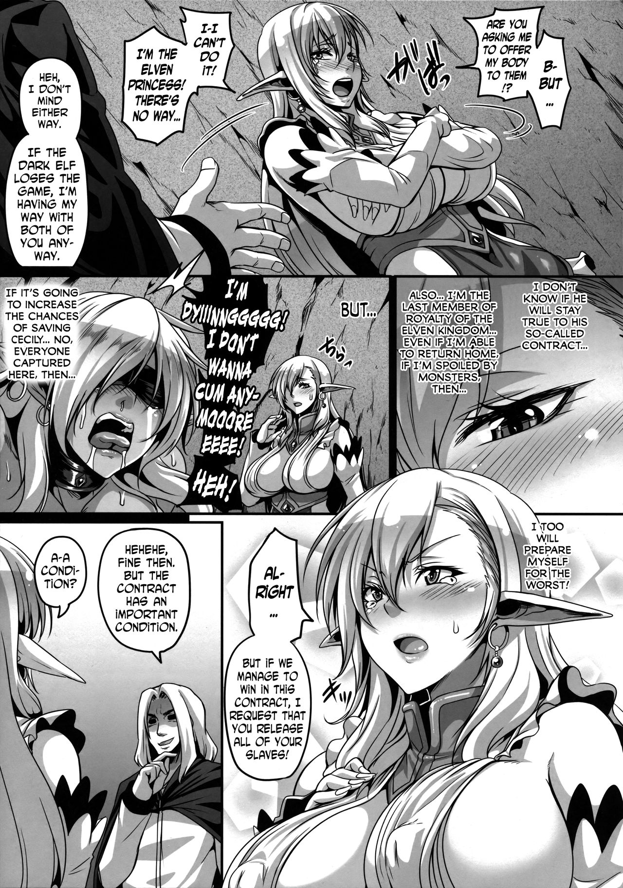 Reishuu Elf Series 2 - Reishuu no Elf Princess page 16