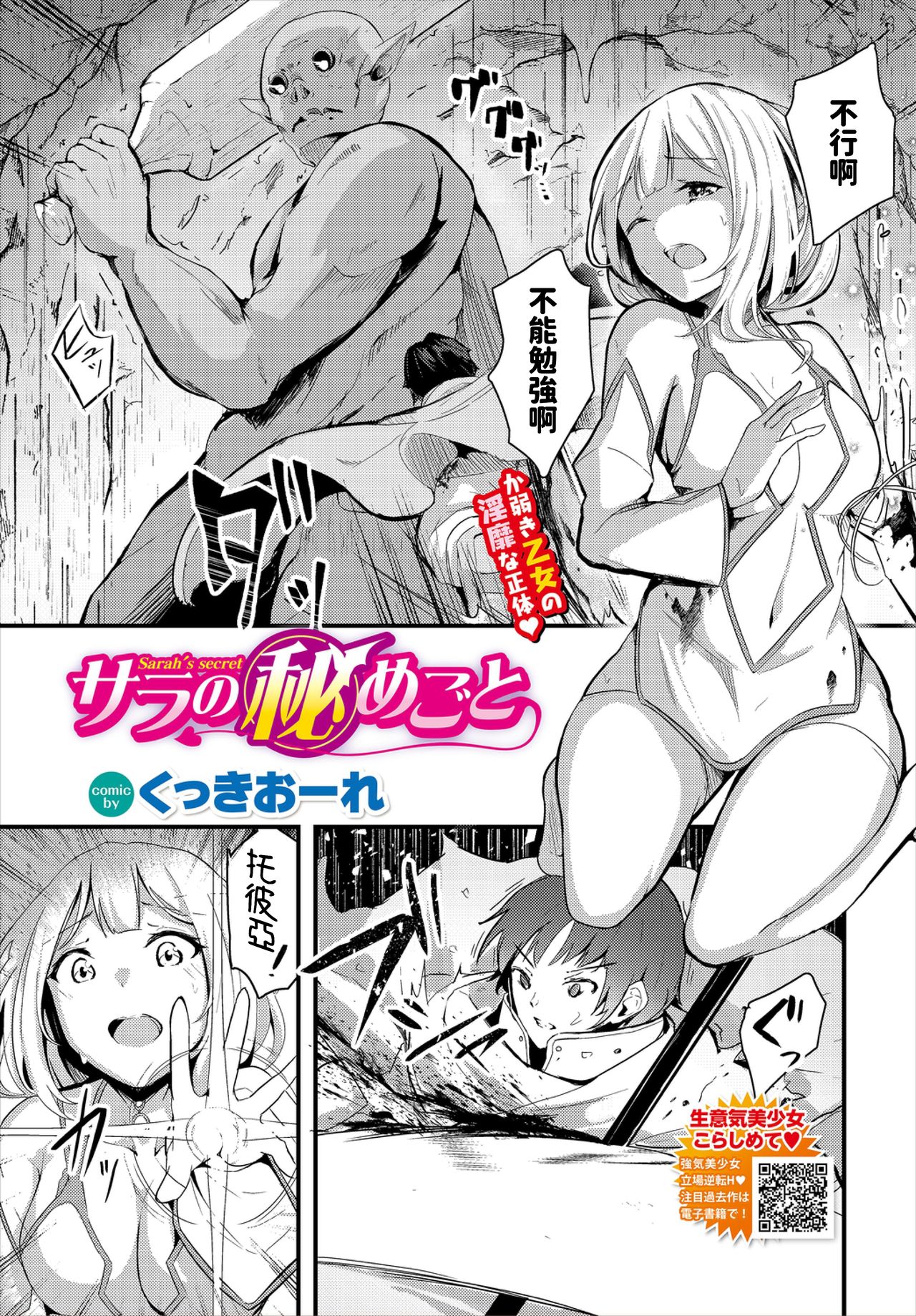 Sara no Himegoto page 1