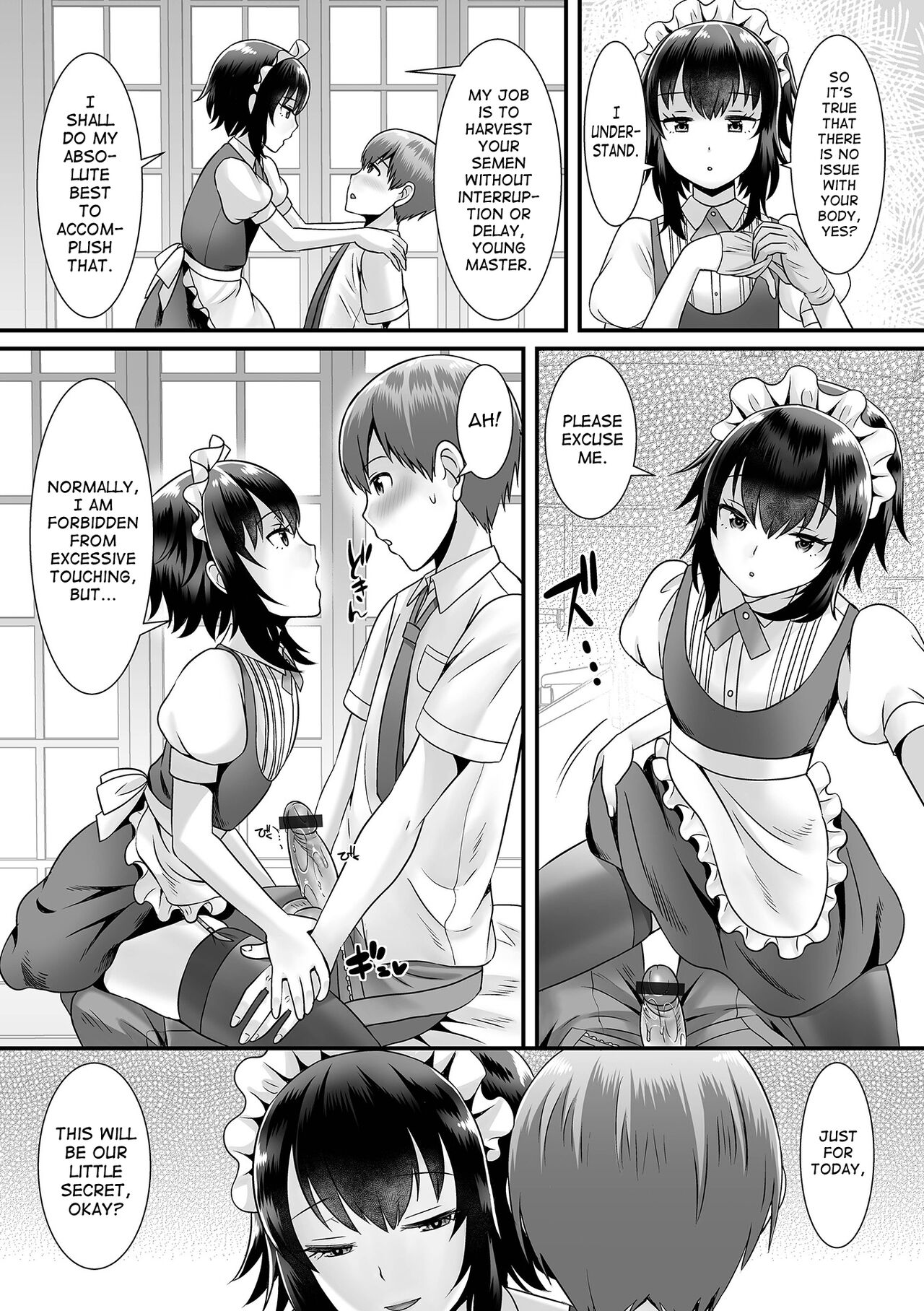 Seiki Sakushu Maid-san Oshigoto Desu Yo page 5