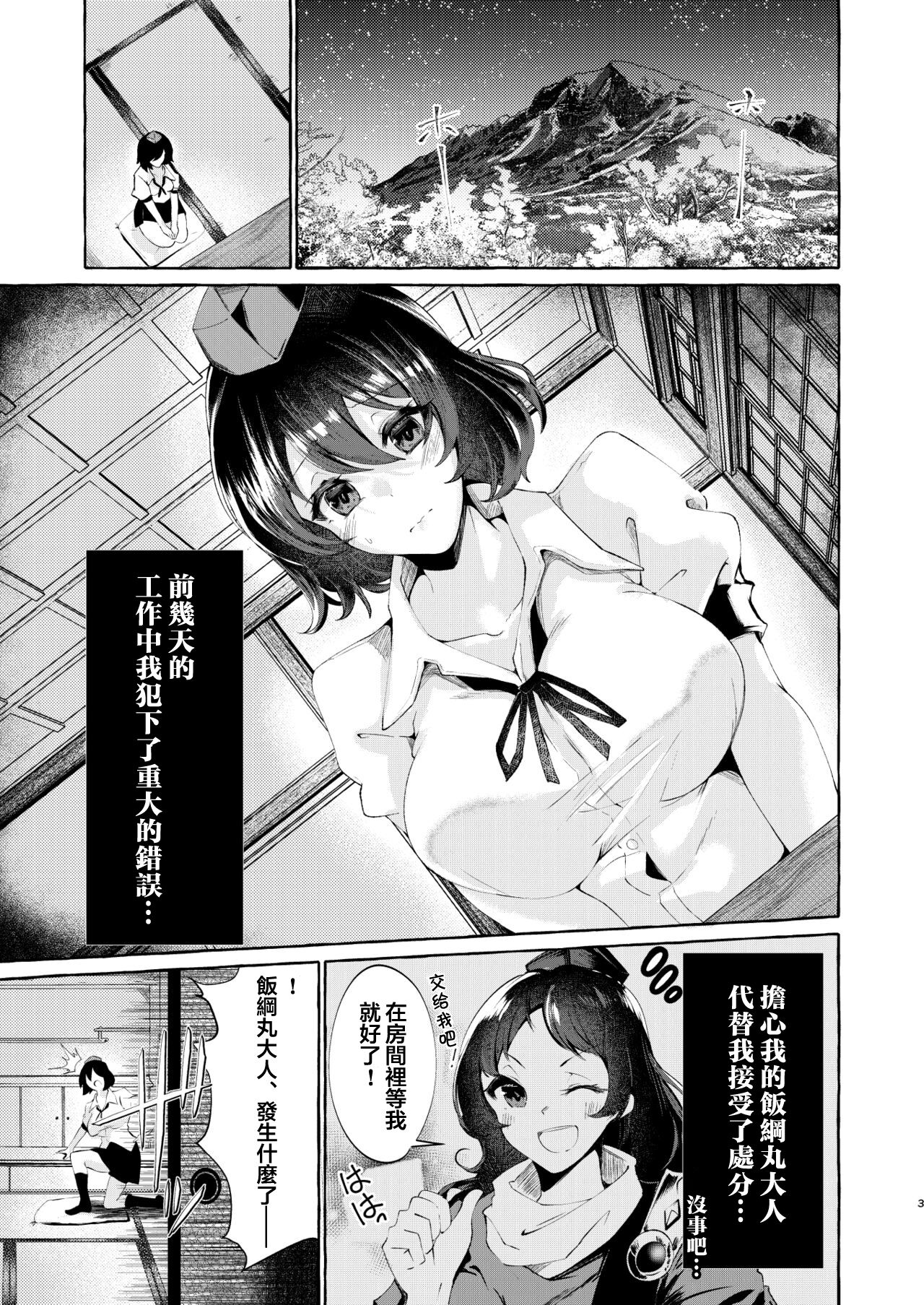 Sekinin Tore yo Shameimaru page 3