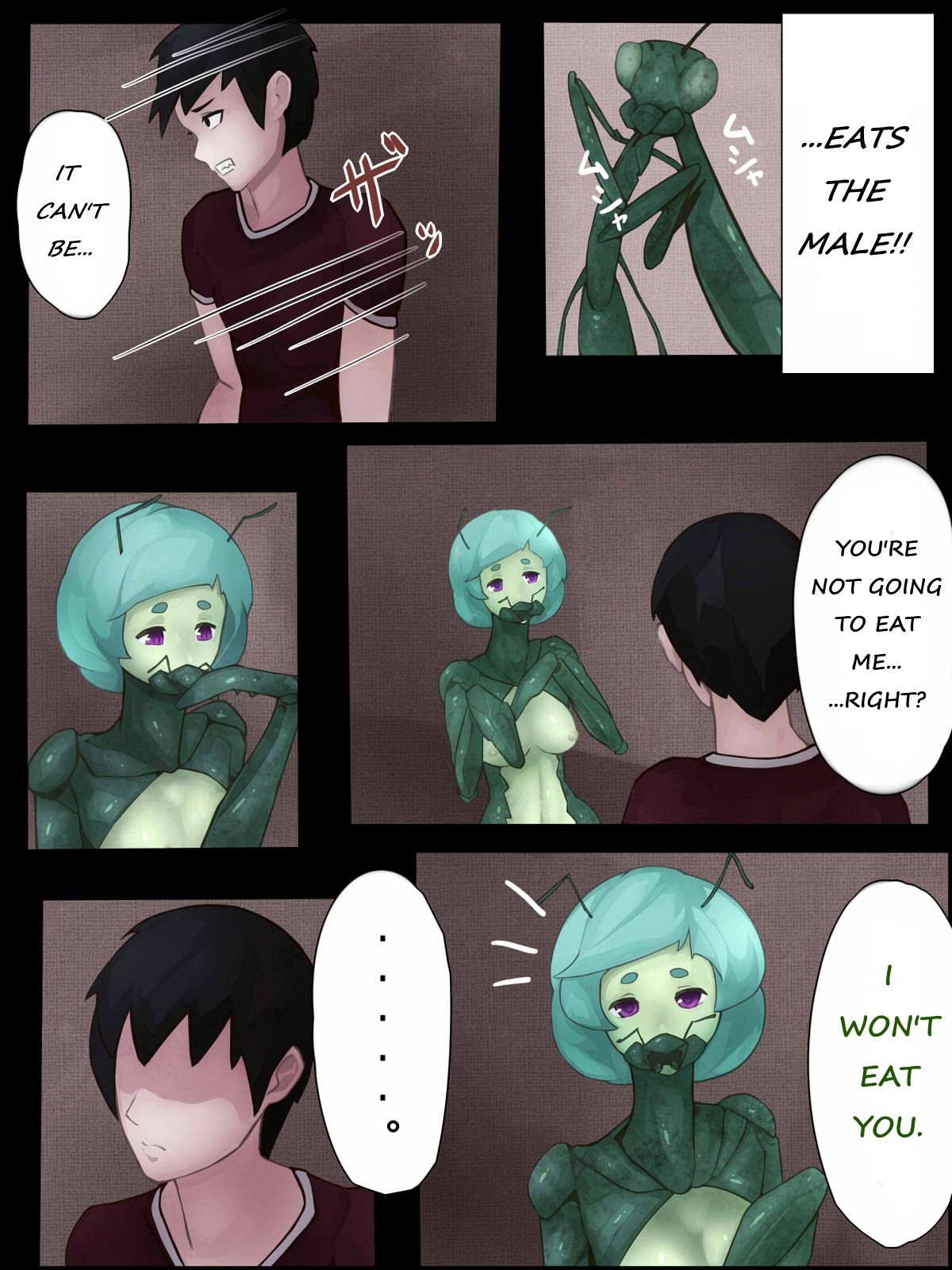 Sex with Mantis Girl -Report of Humanizer Virus Infection- page 17