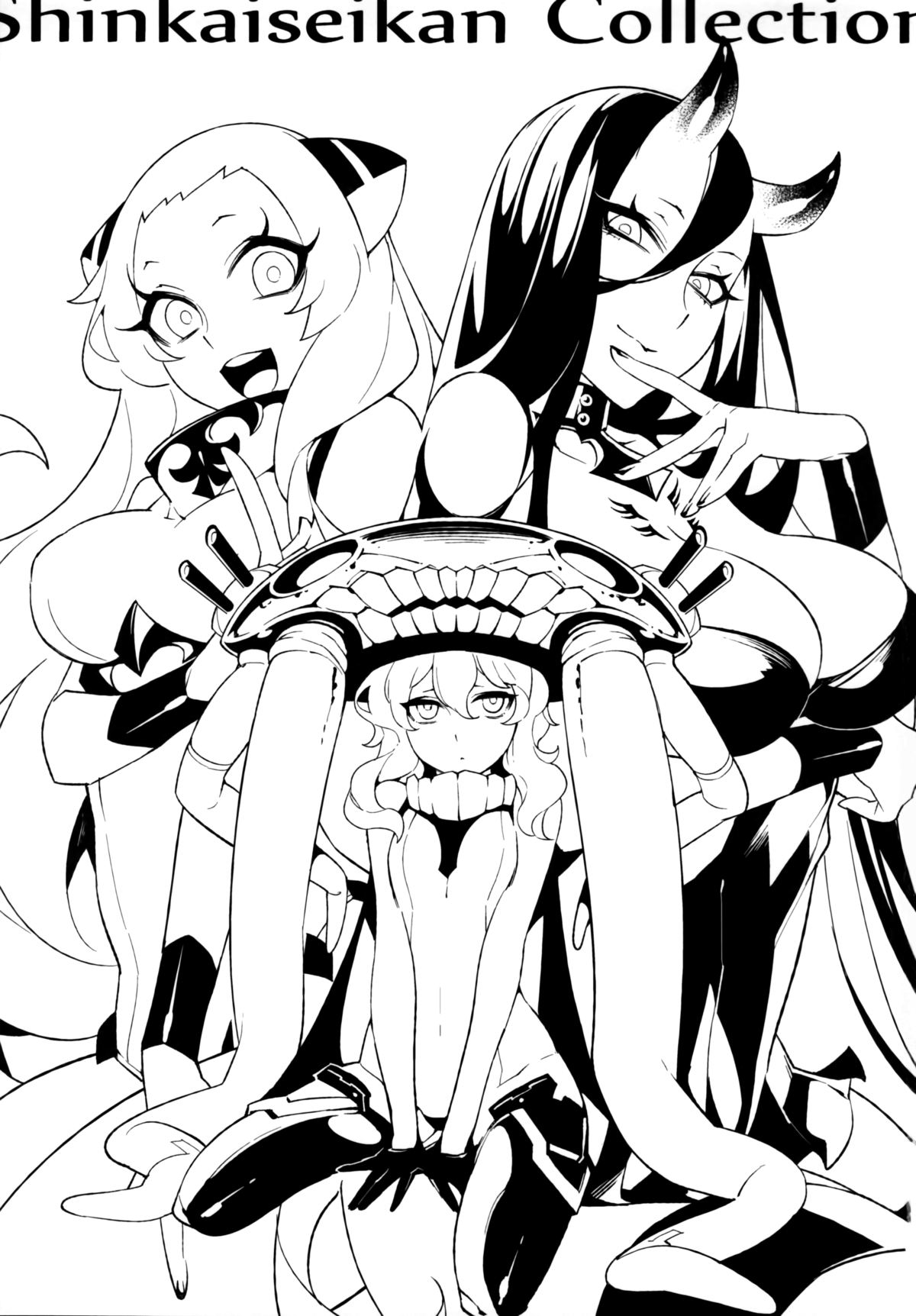 Shinkaiseikan Collection page 2