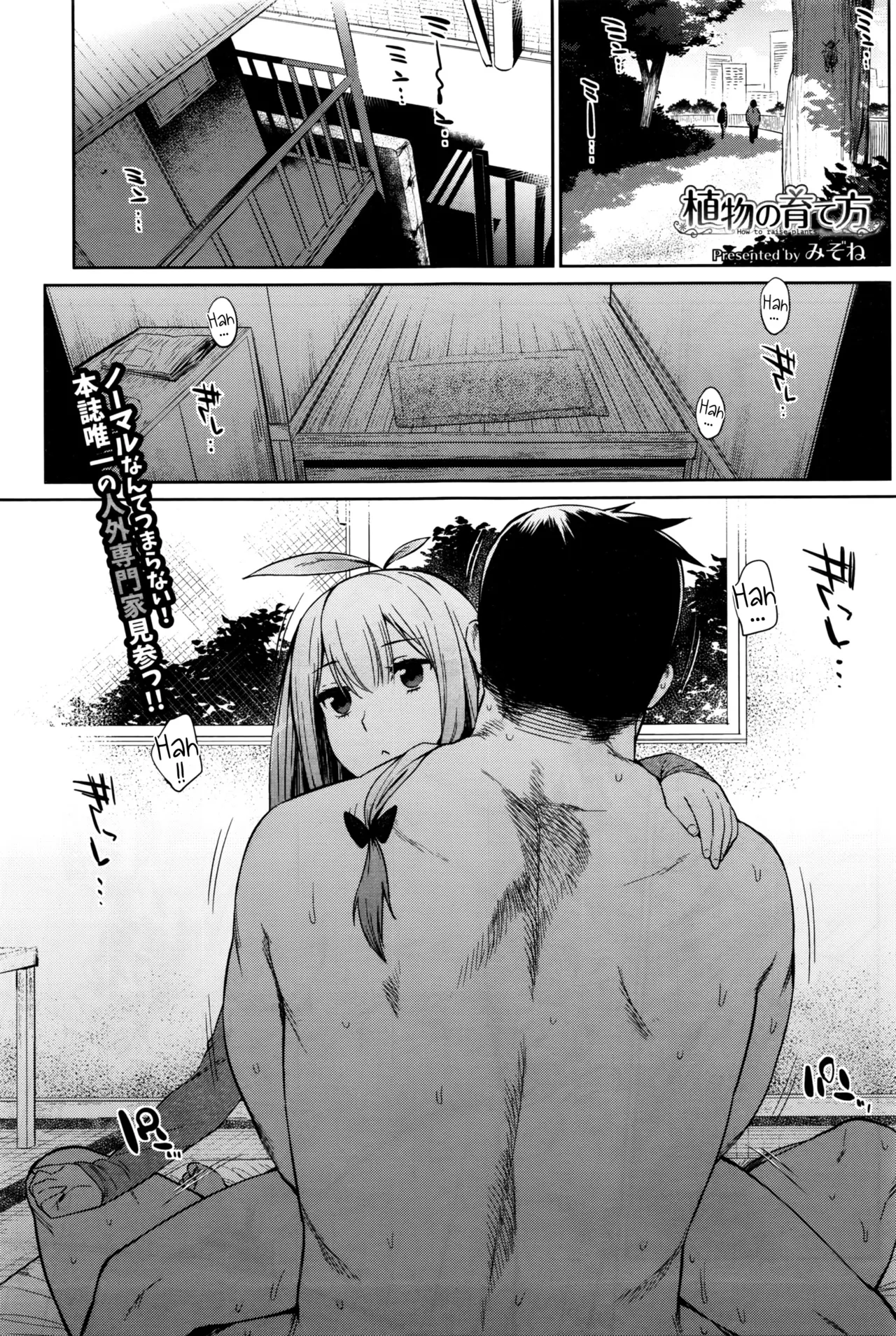 Shokubutsu no Sodatekata - How to raise plants page 1