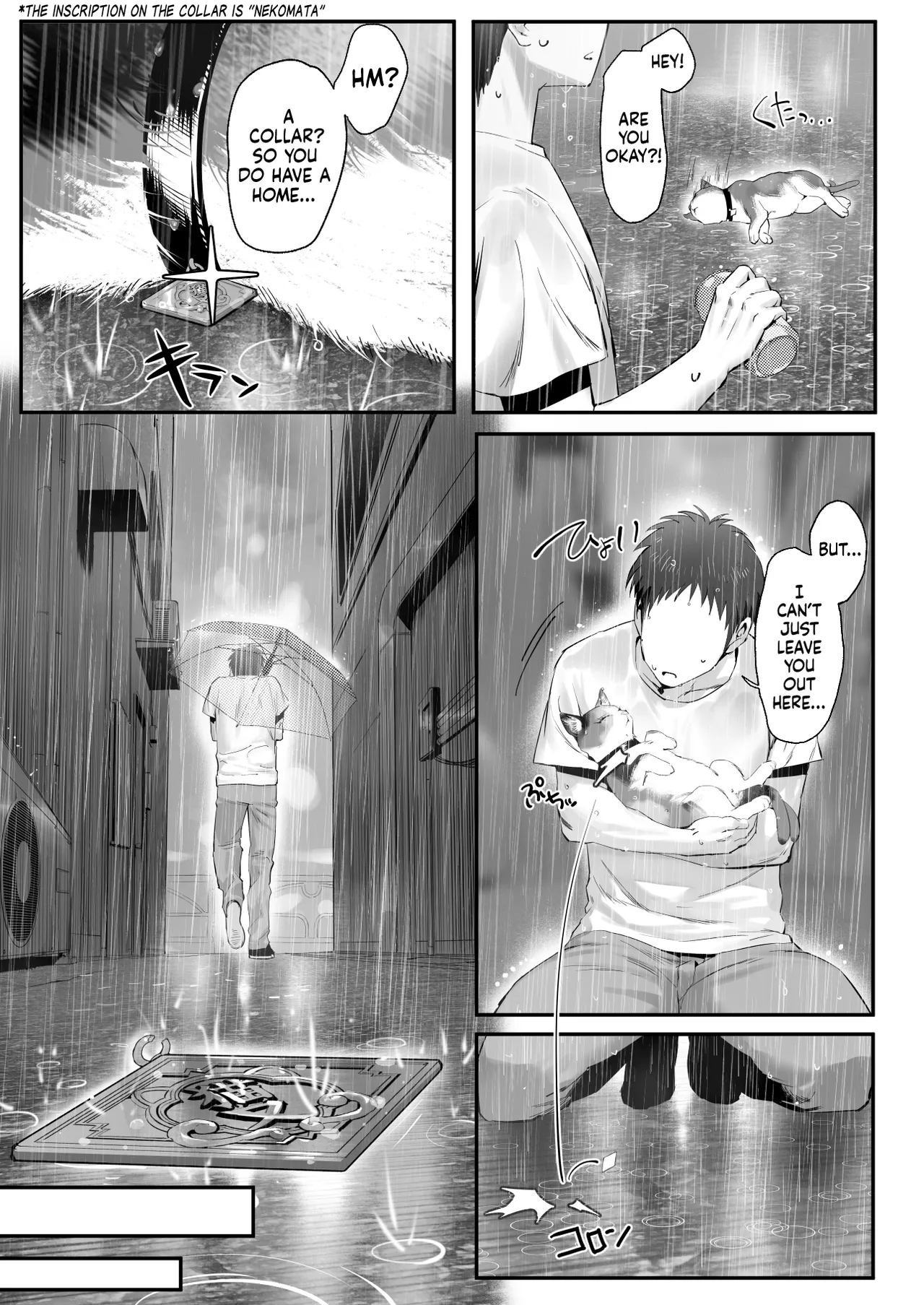 Stray Kitty or Gyaru Yakuza Heiress? page 8