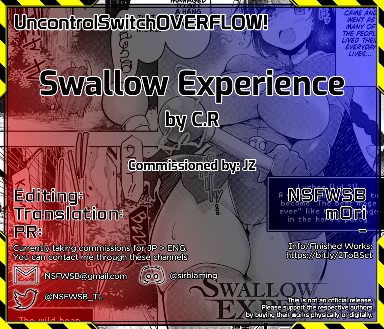 Swallow Experience page 26