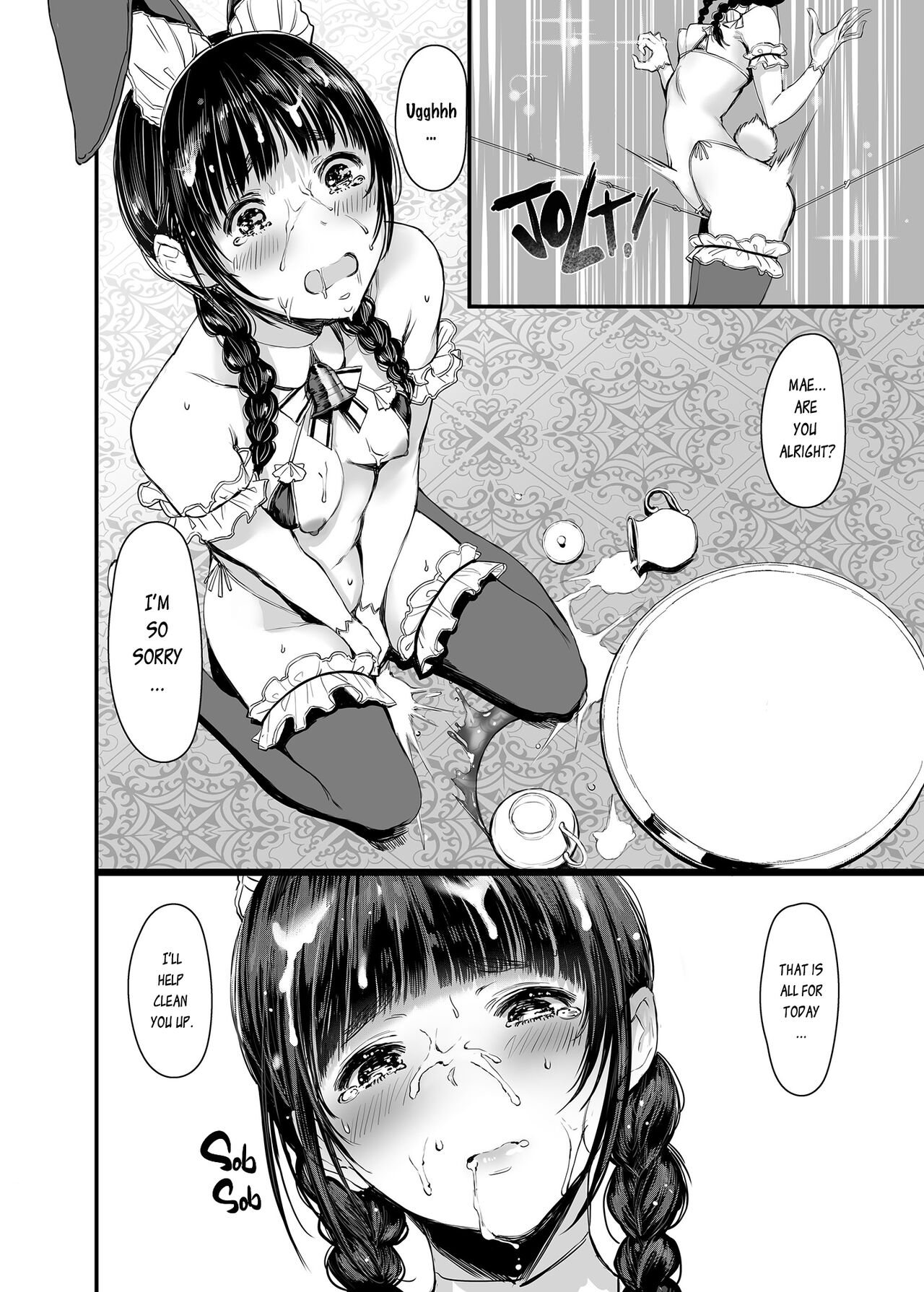 SWAN MAID ACADEMY page 17