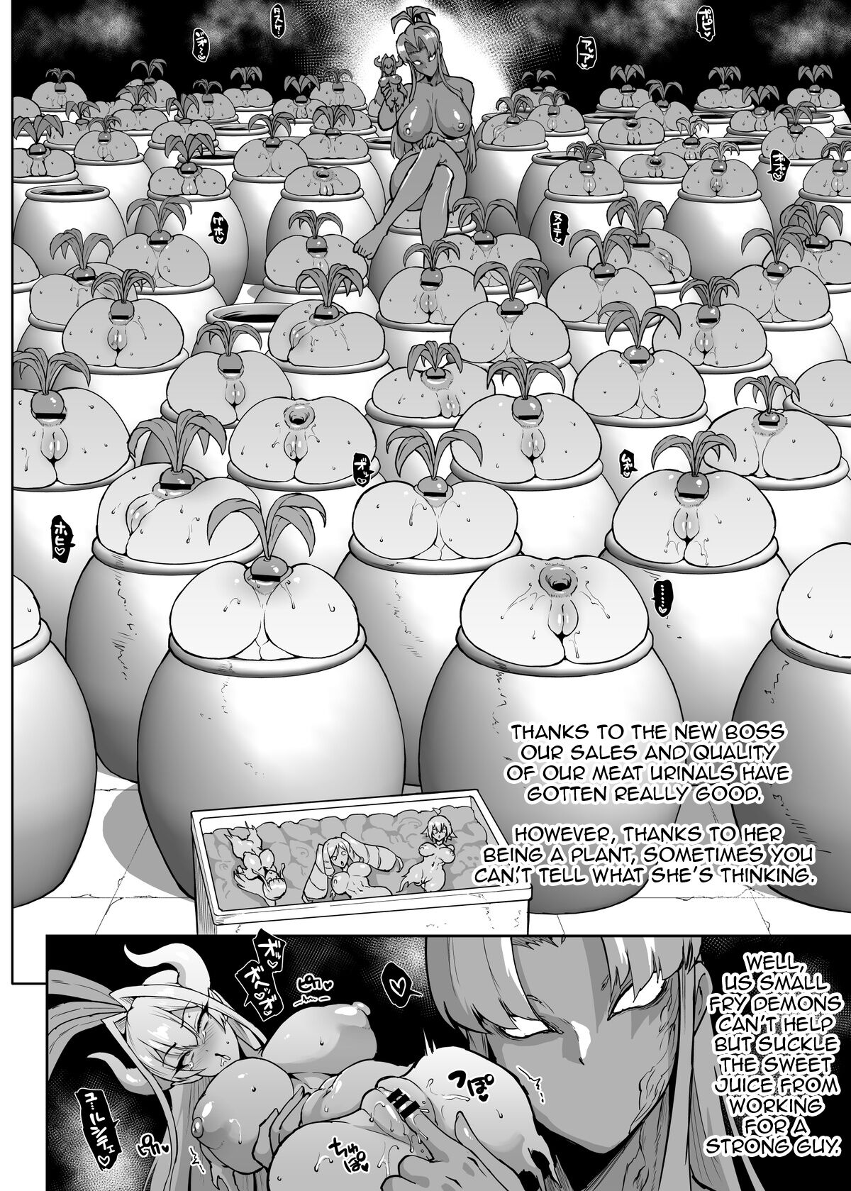 "Taimabu Season 3" VS Mandragora page 14
