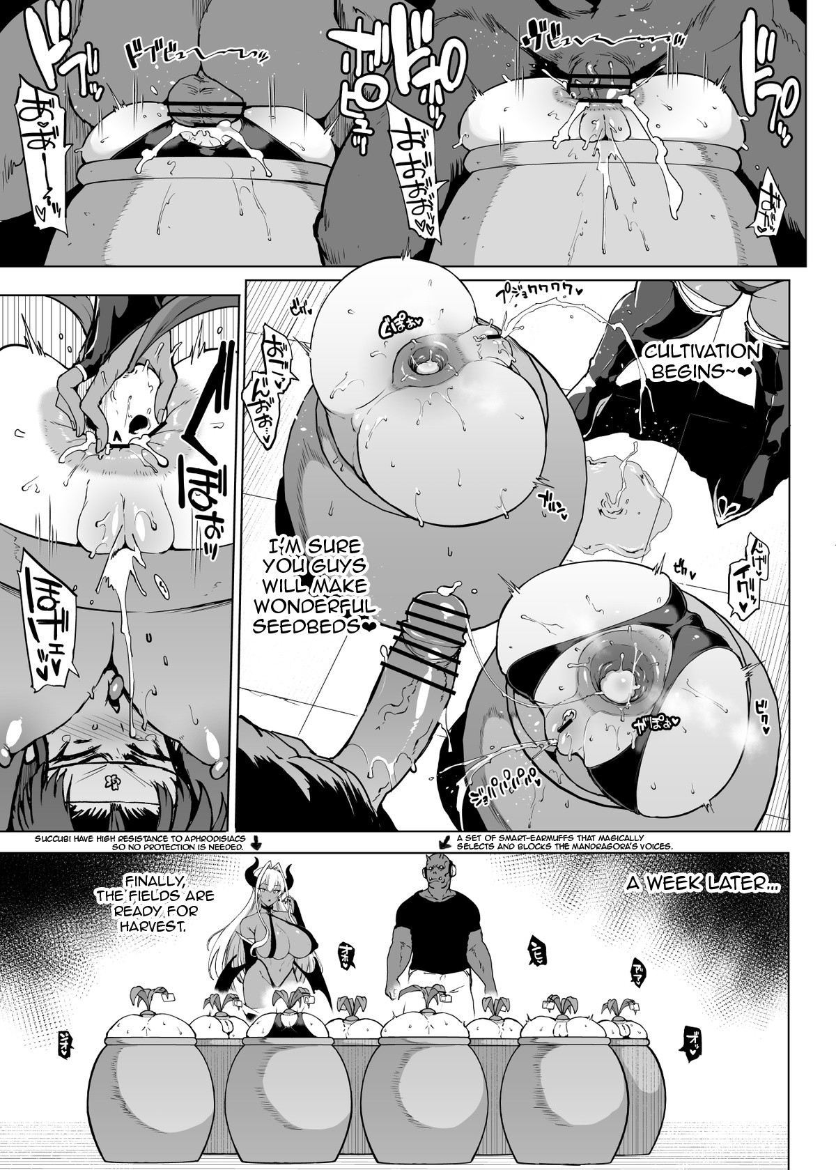 "Taimabu Season 3" VS Mandragora page 5