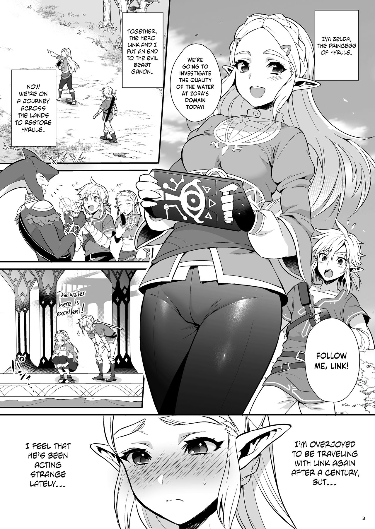 Taking Steps to Ensure Hyrule's Prosperity! (The Legend of Zelda) [English] =The Lost Light= page 4