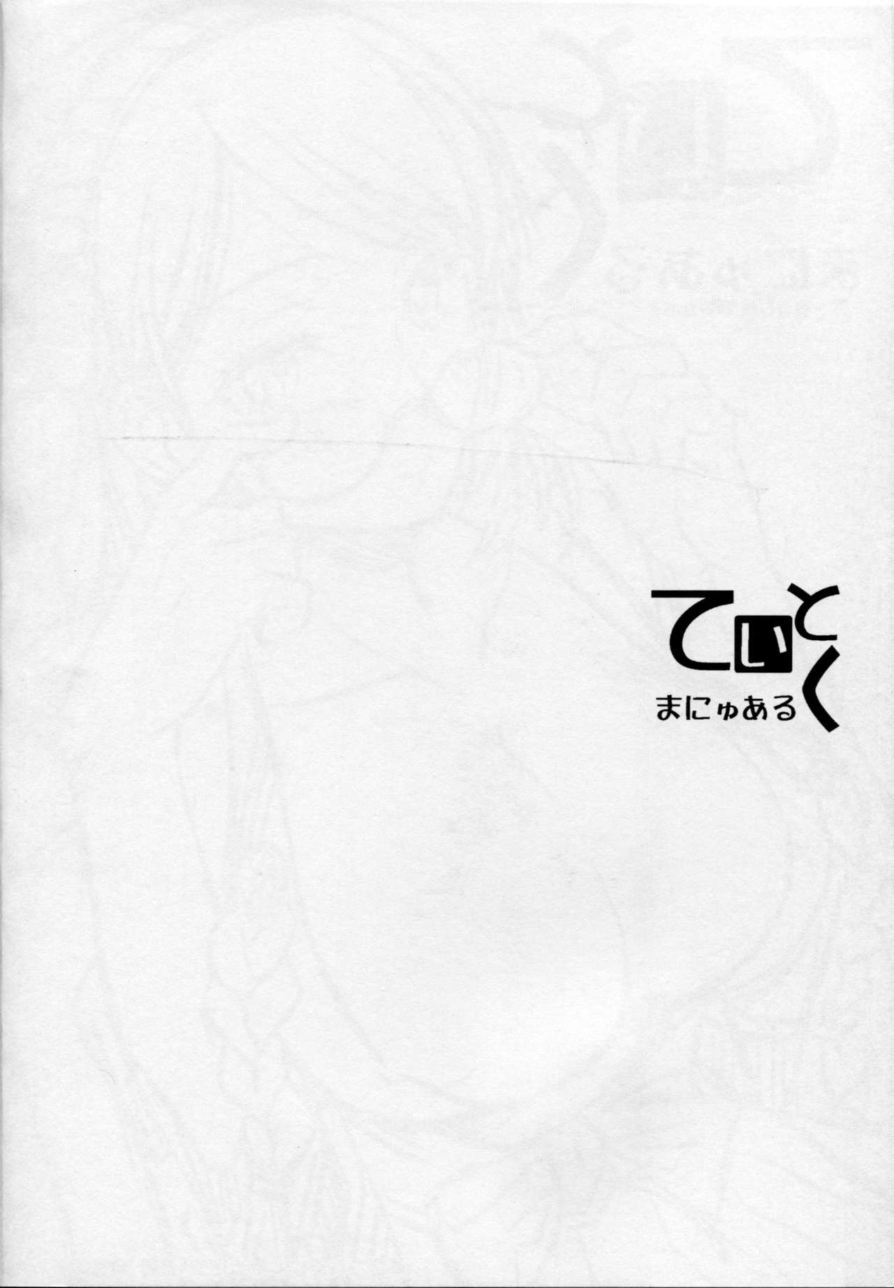 Teitoku Manual page 3