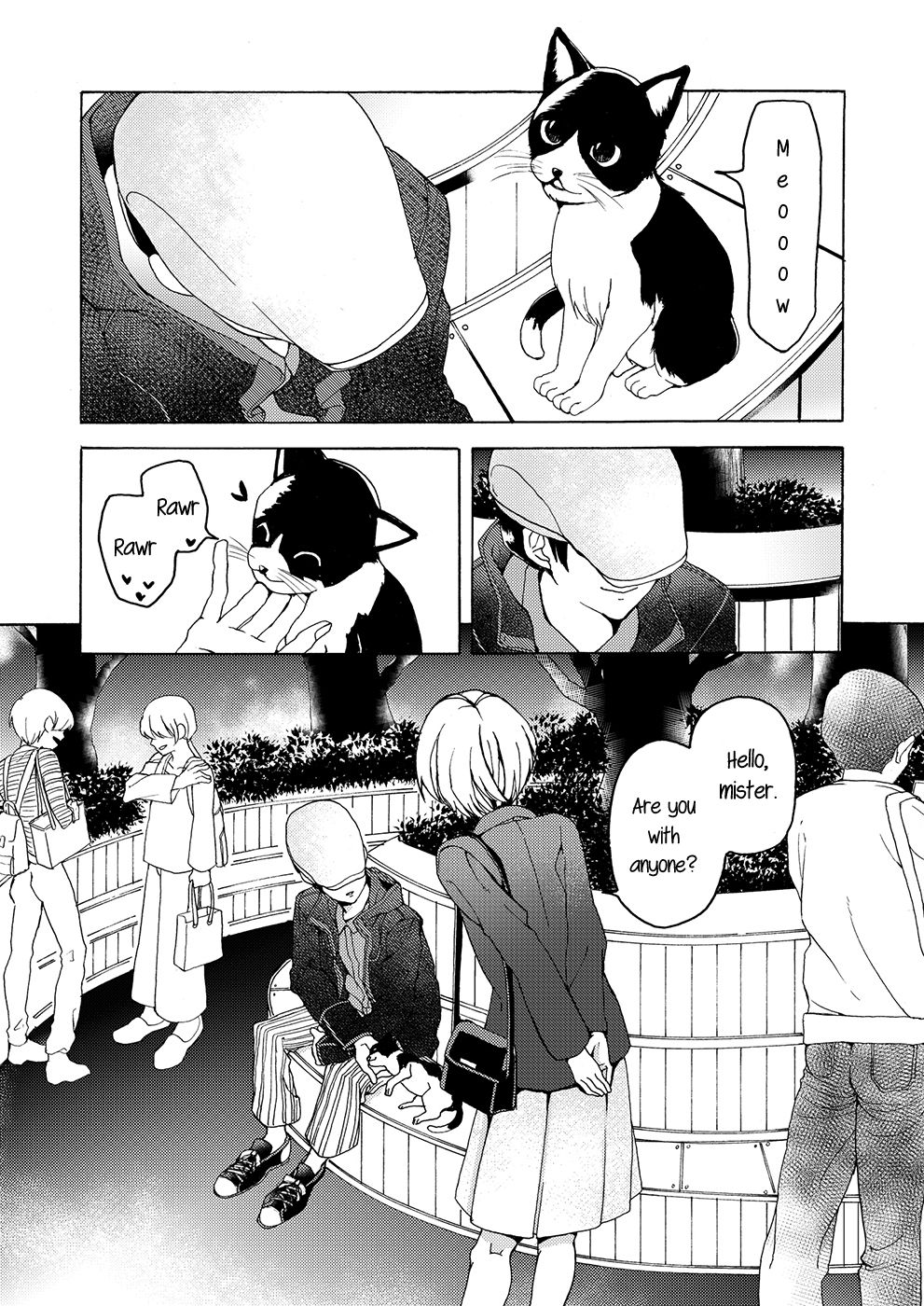 The missing “i” page 5