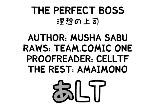 The Perfect Boss page 19