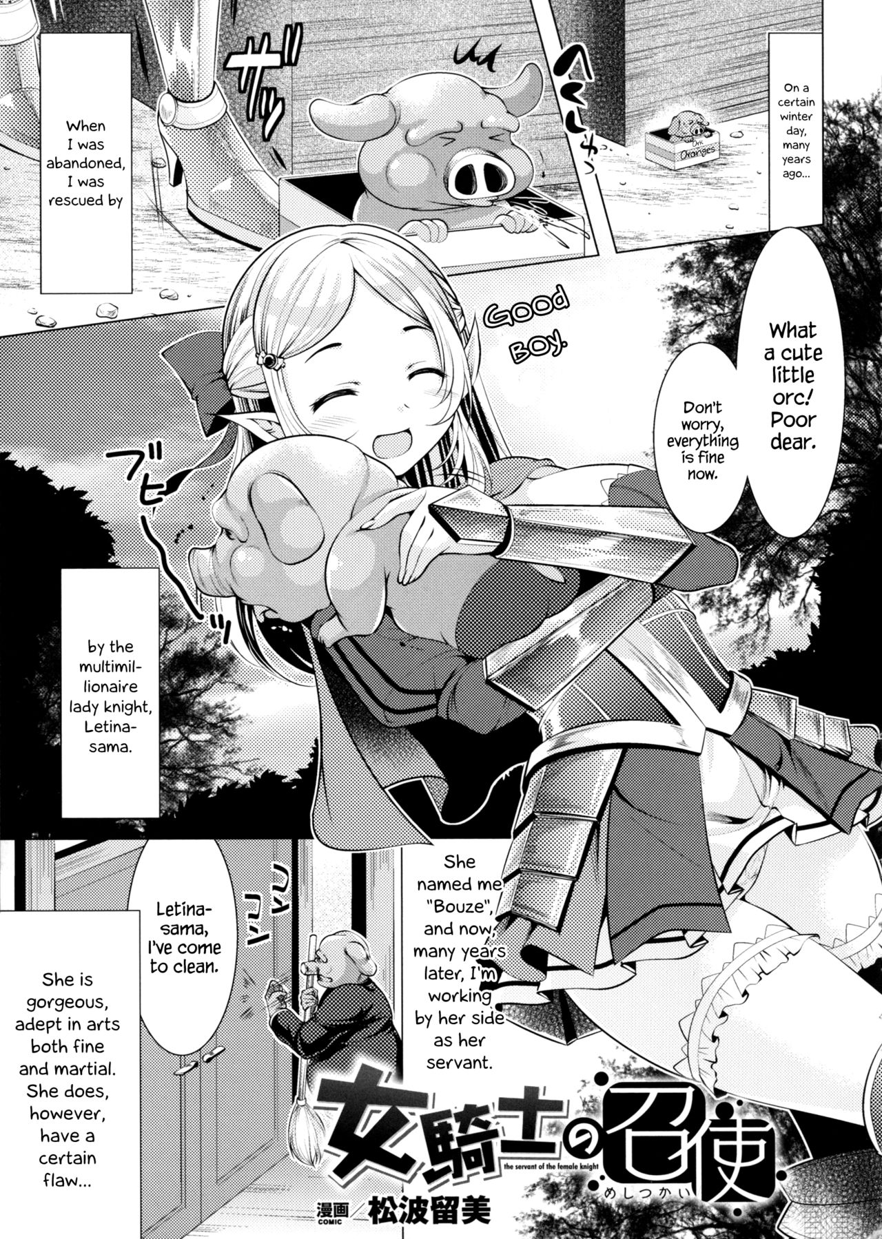 The Servant of the Lady Knight + Extra page 1