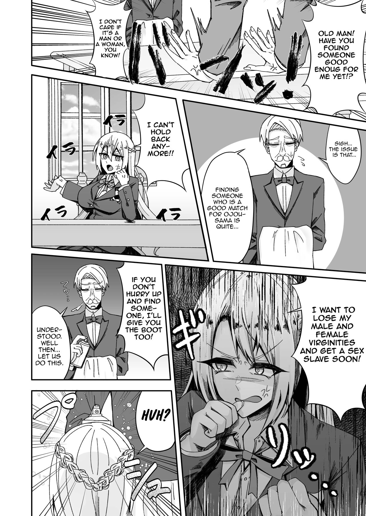 Toaru Reijou no Bunretsu Nichijou page 5