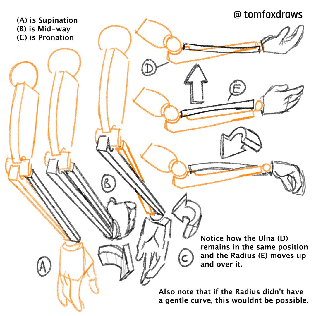 tomfox draws page 1
