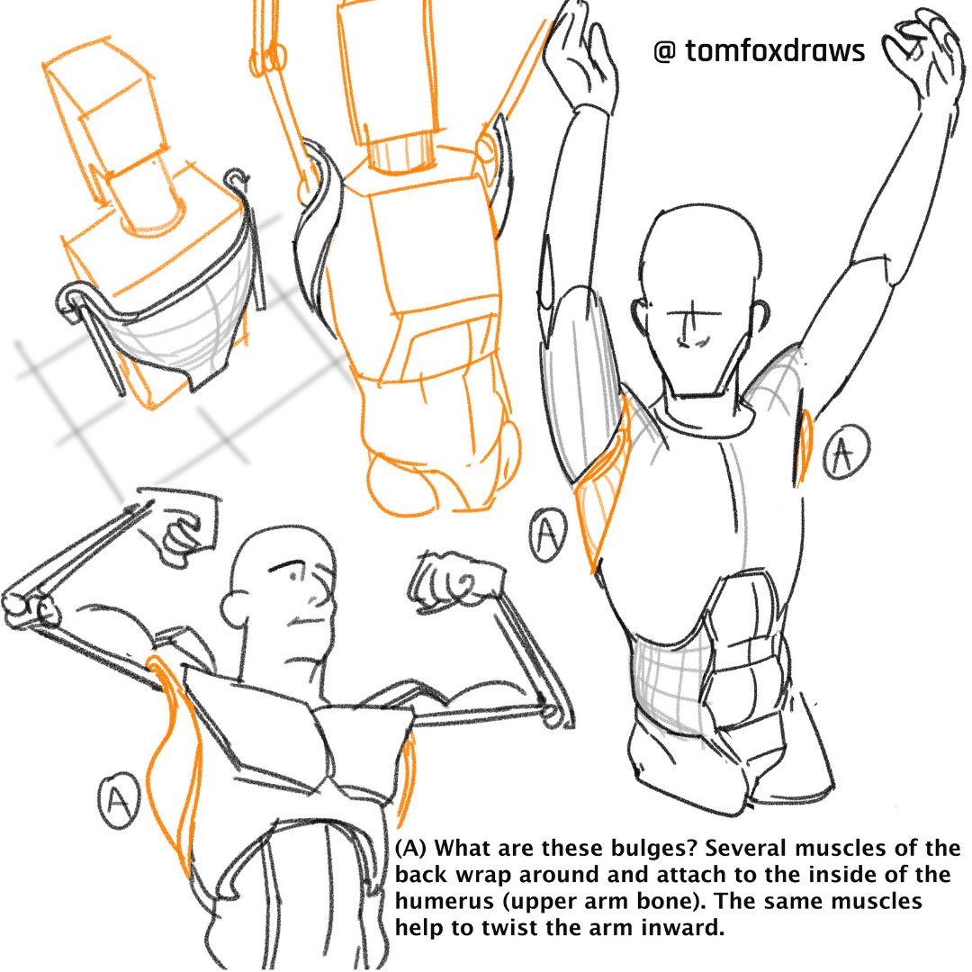 tomfox draws page 3