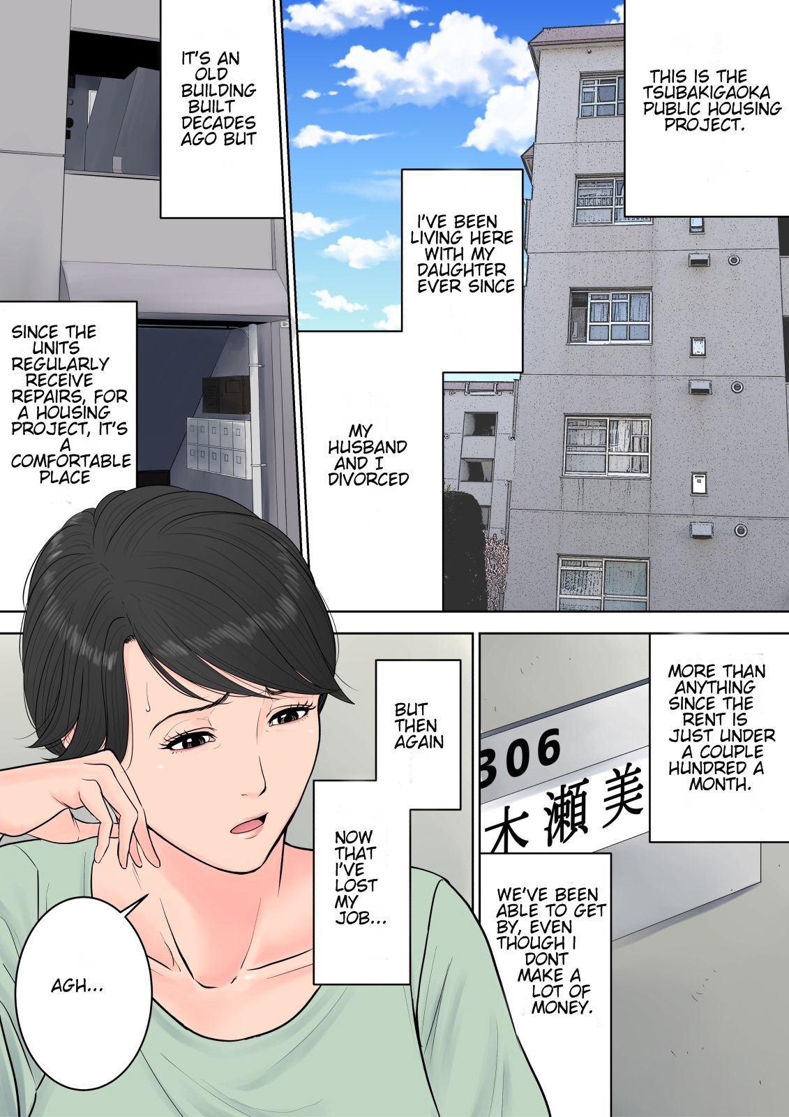 Tsubakigaoka Housing Project Manager page 3