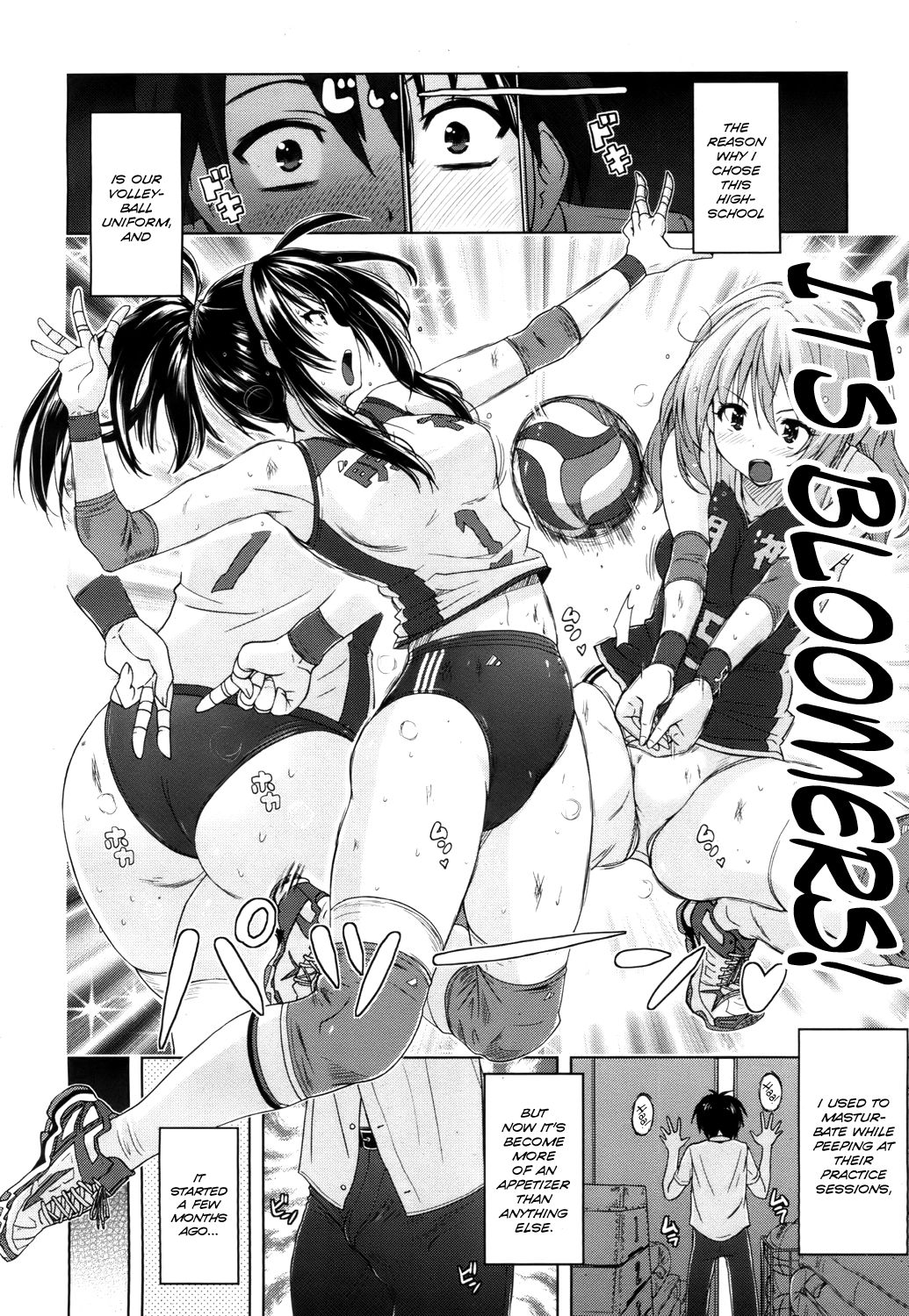 Volleybloom page 2