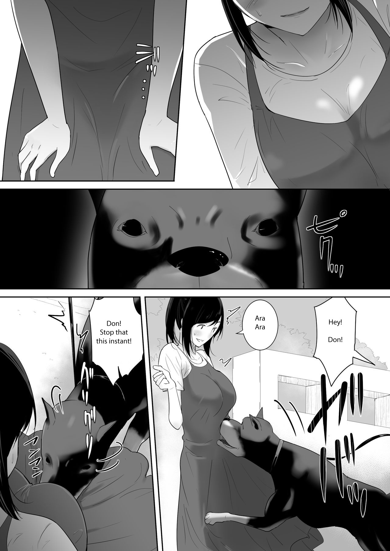 Wagaya ni Inu ga Yattekita 2 page 4