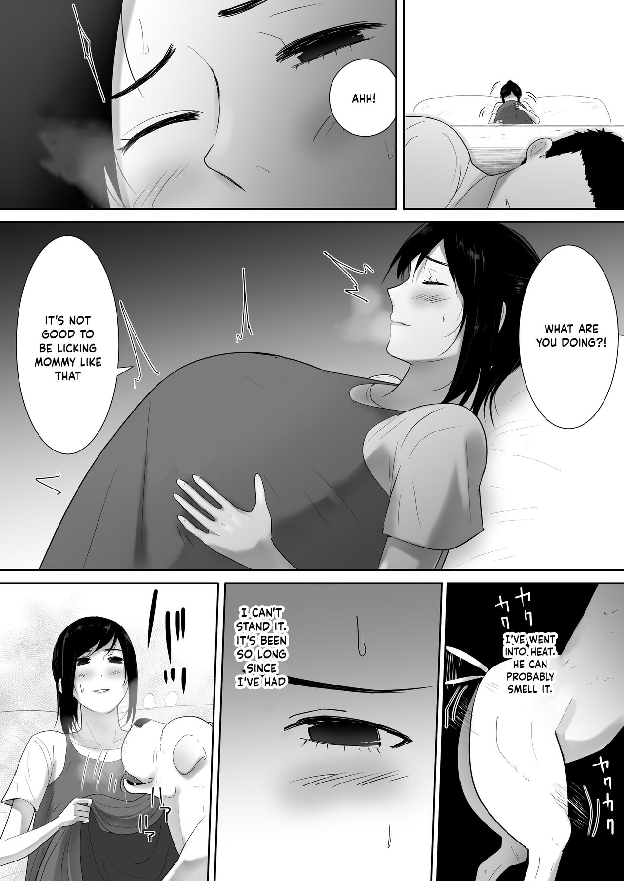 Wagaya ni Inu ga Yattekita 2 page 13
