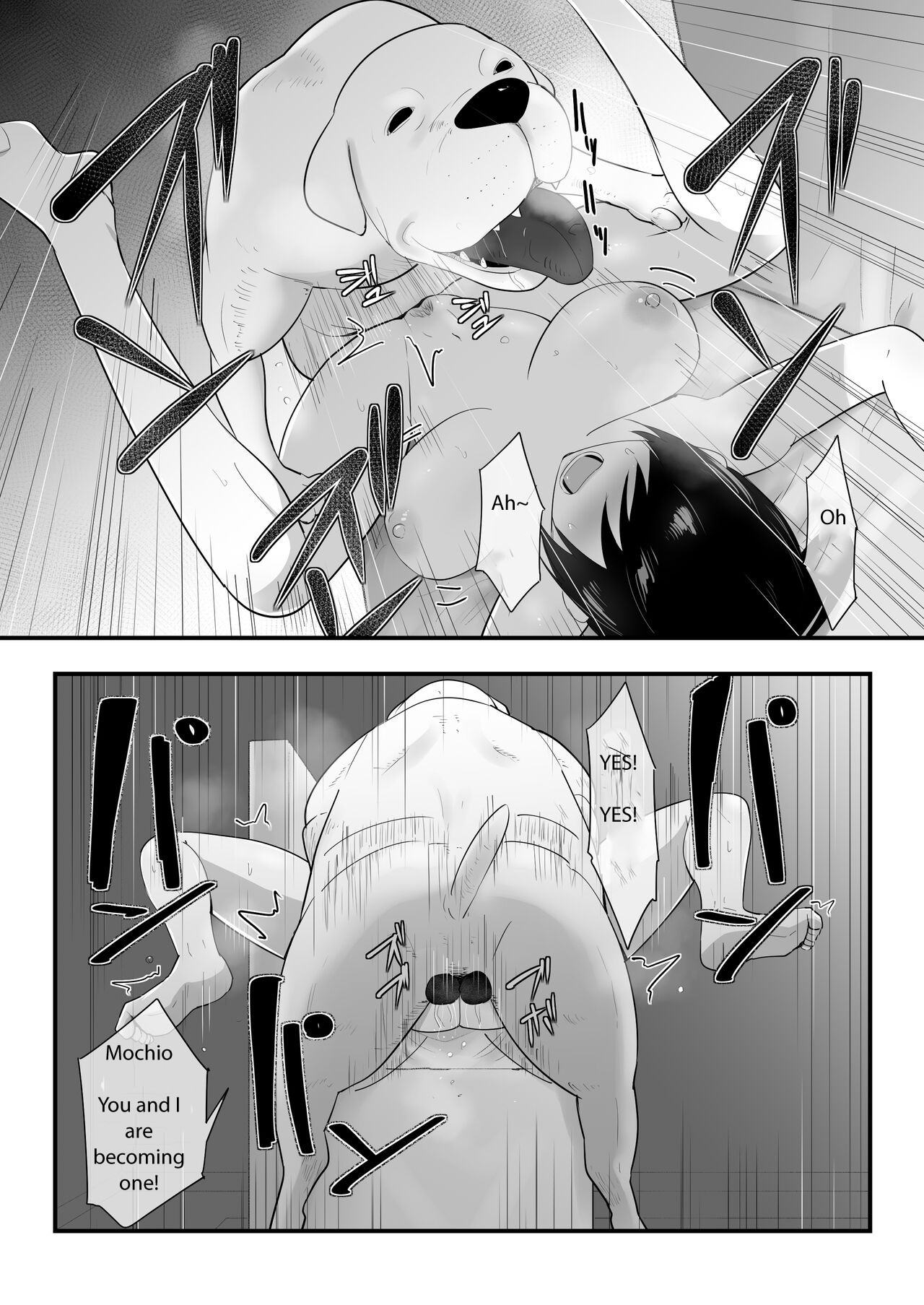 Wagaya ni Inu ga Yattekita 3 page 17