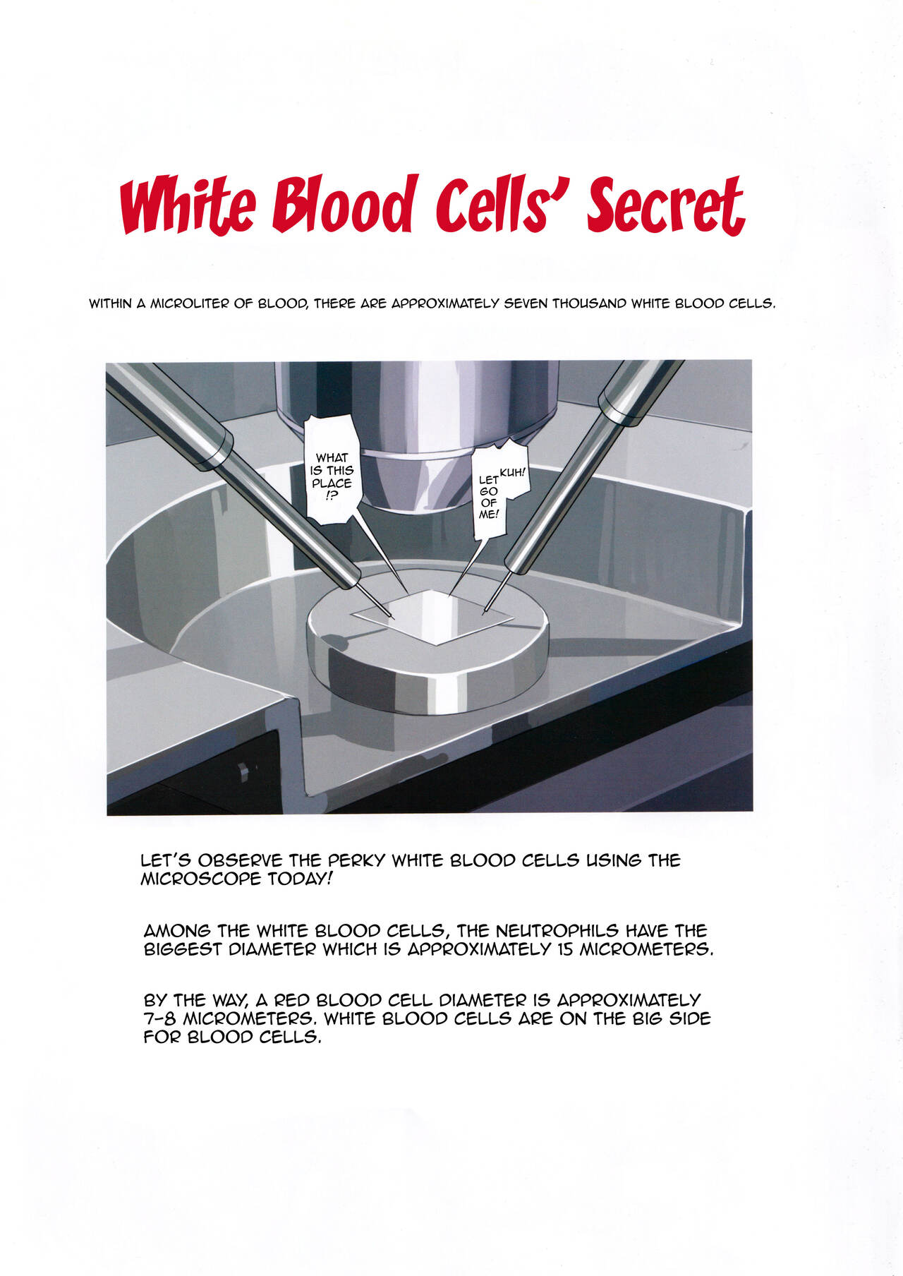 White Blood Cell Secret page 3