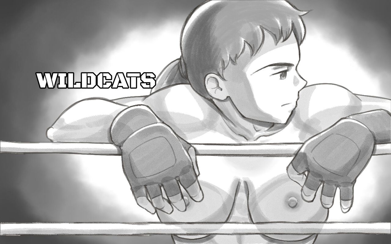 WILDCATS ~ Futanari Chika Battle page 3