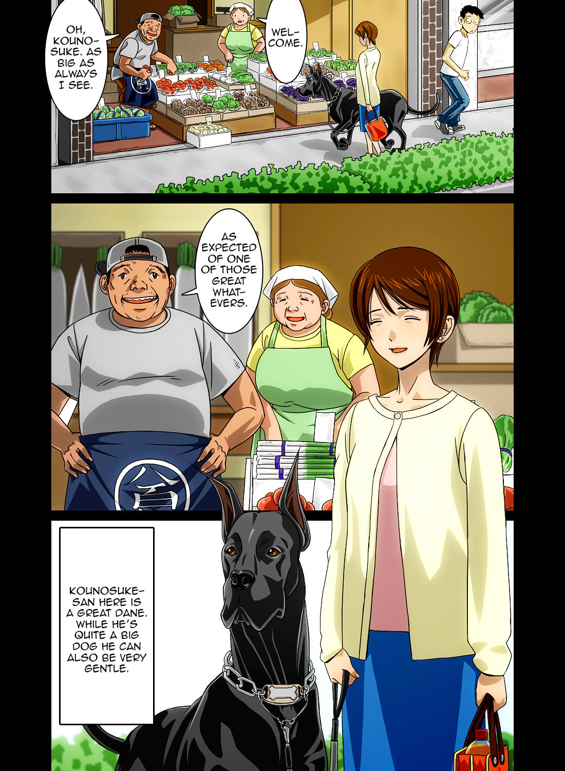 “Wonderful Life” ~Shufu to “Aiken” no Hisoyaka na Gogo~ page 12