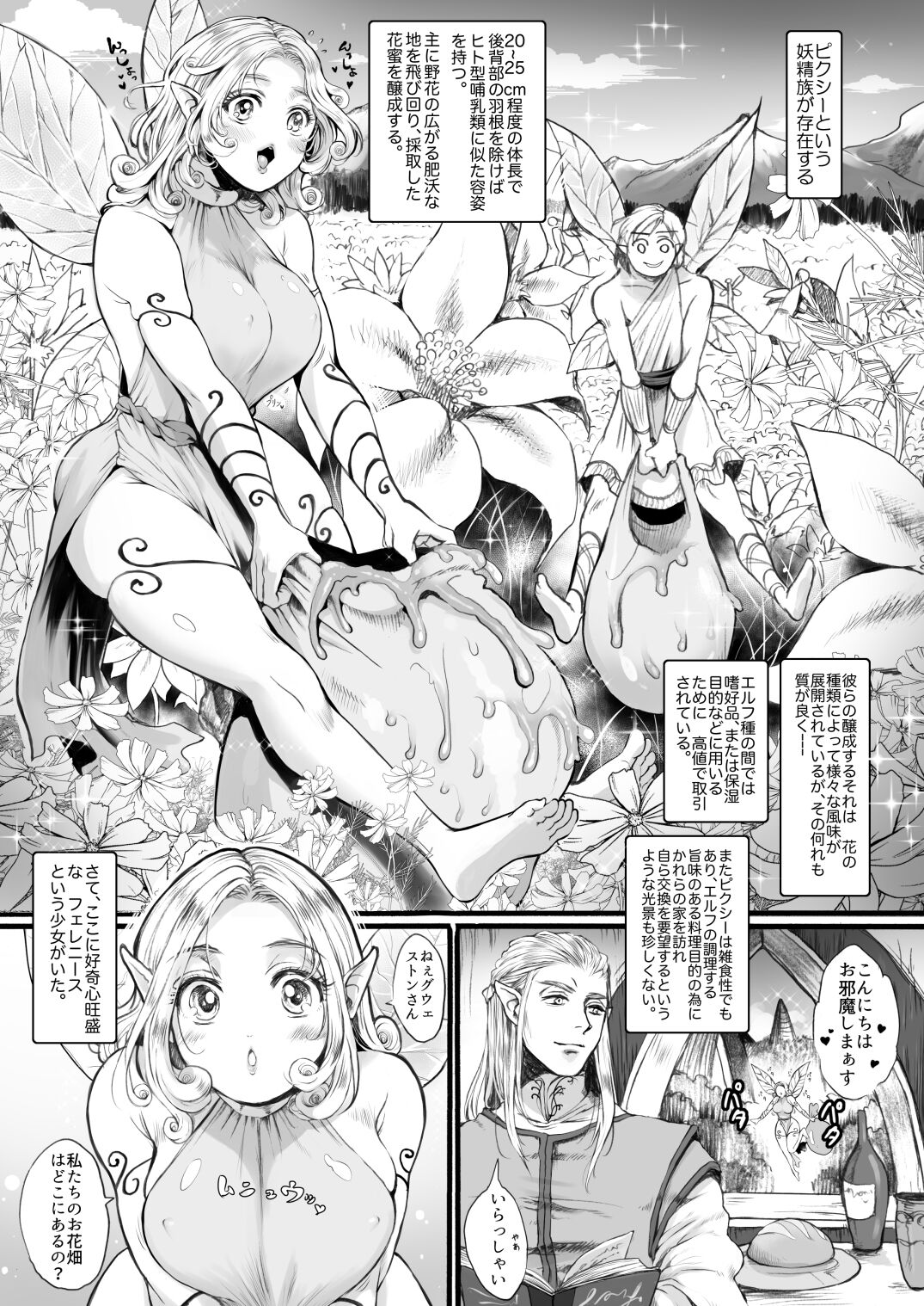 Yousei-san o Tsukamaeta ~Zenpen~ page 2